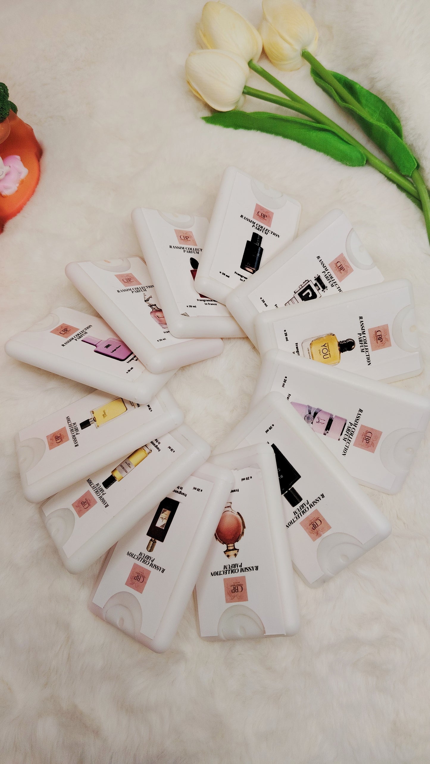 PACK DE 12 EXTRAIT